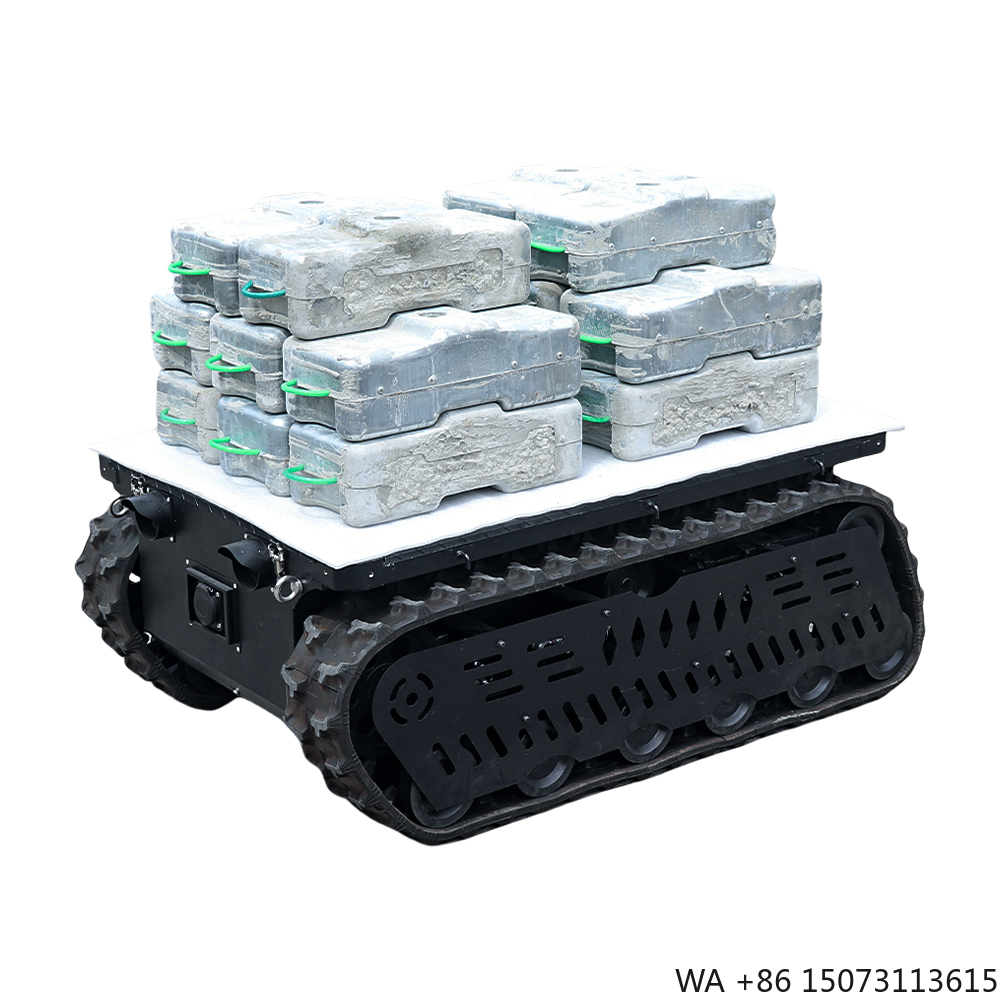 300 600kg Load RC Tank Crawler - Brushless Motor recensie en prijs