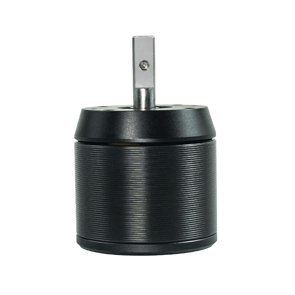 Fantian Technology Brushless D - Brushless Motor recensie en prijs